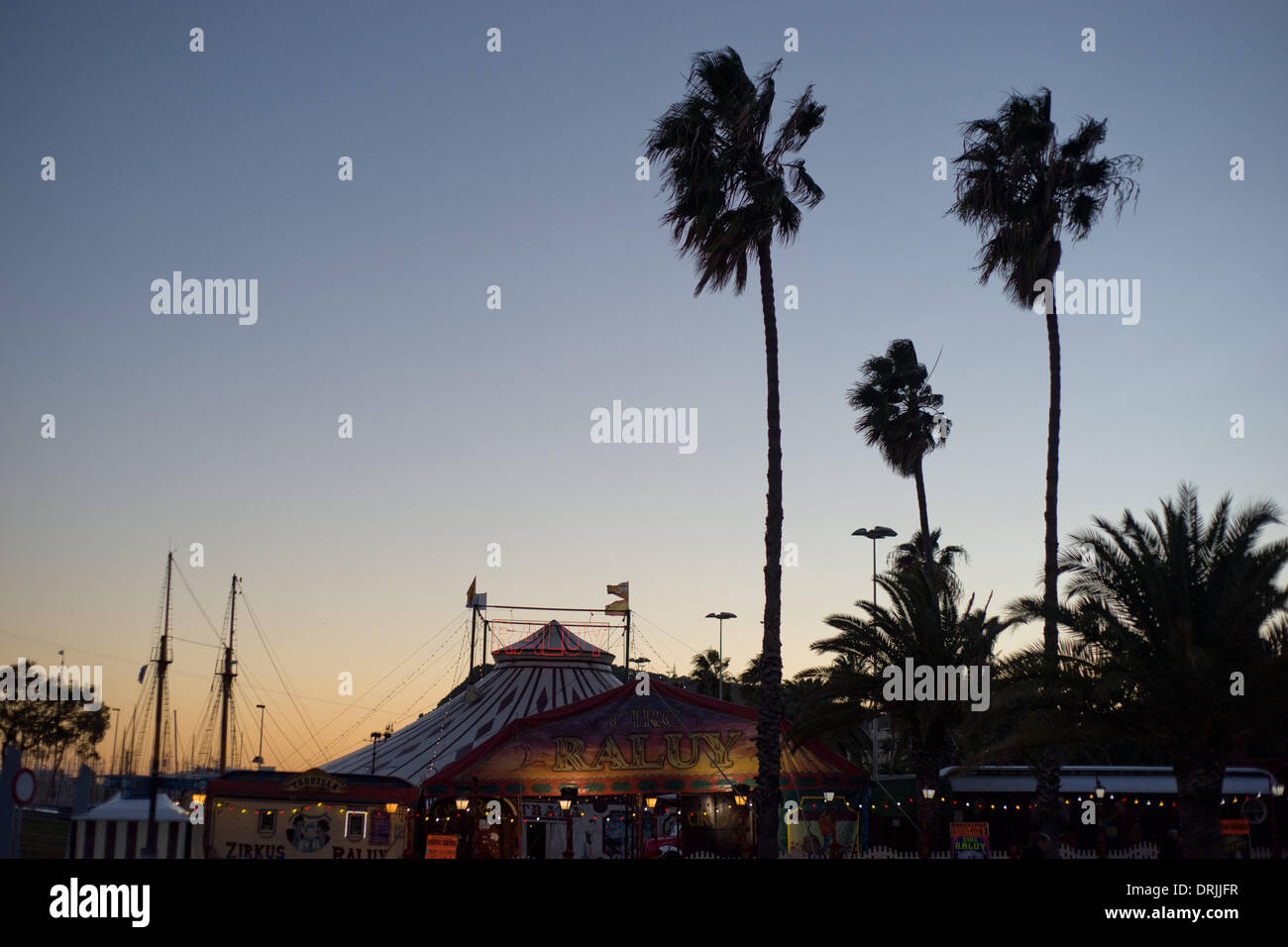 La Barceloneta, Barcelone, Espagne 27 Janvier, 2014. Les palmiers se déplacer dans le vent à côté d'une tente de cirque à Barcelone du vent fort et clair à l'aube de l'environnement à Barcelone. Crédit : Jordi Boixareu/Alamy Live News Banque D'Images