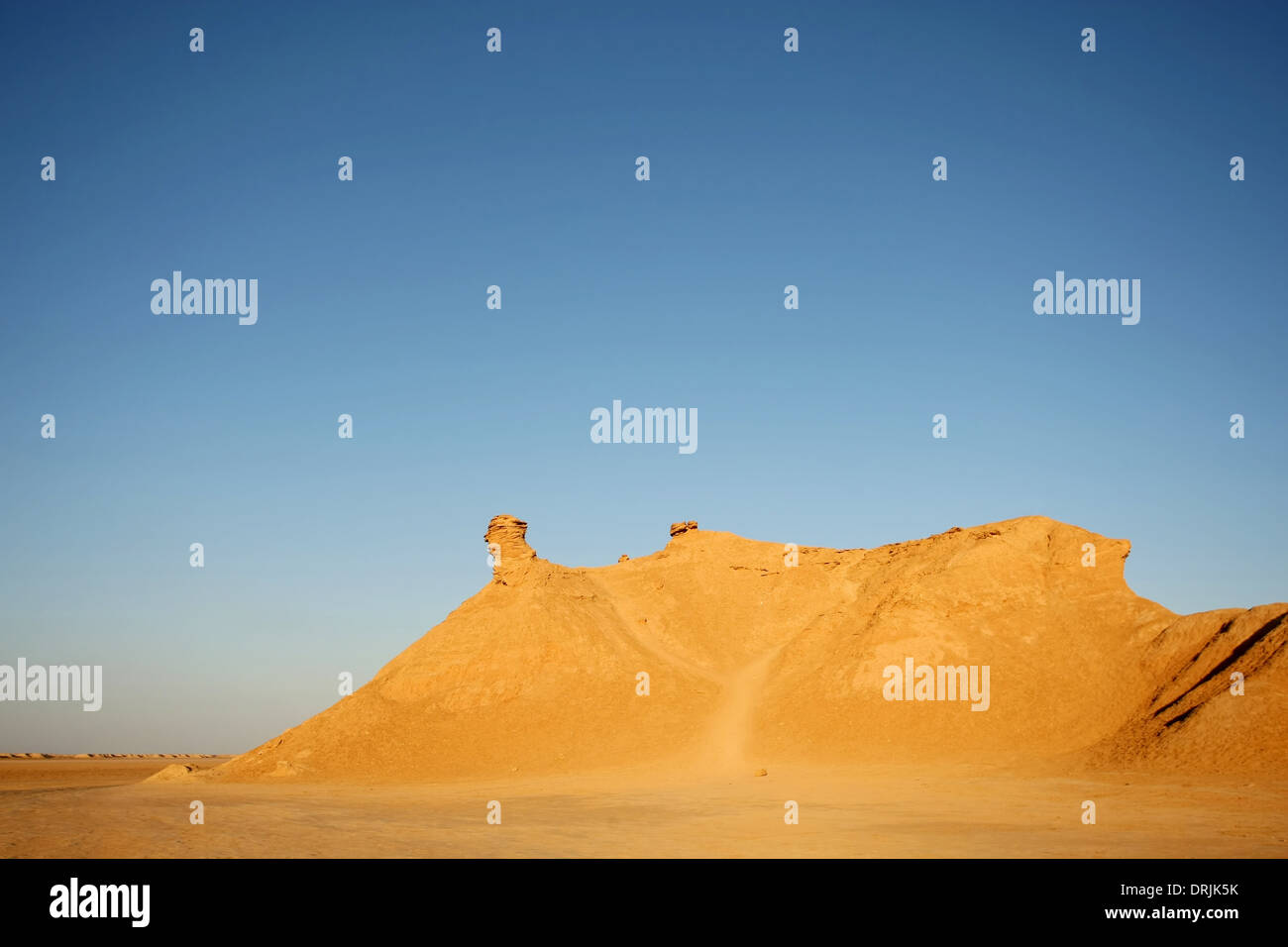 Tête de chameau rock, l'un des arrêts touristiques dans Ong Jemel, Tozeur, Tunisie. Banque D'Images
