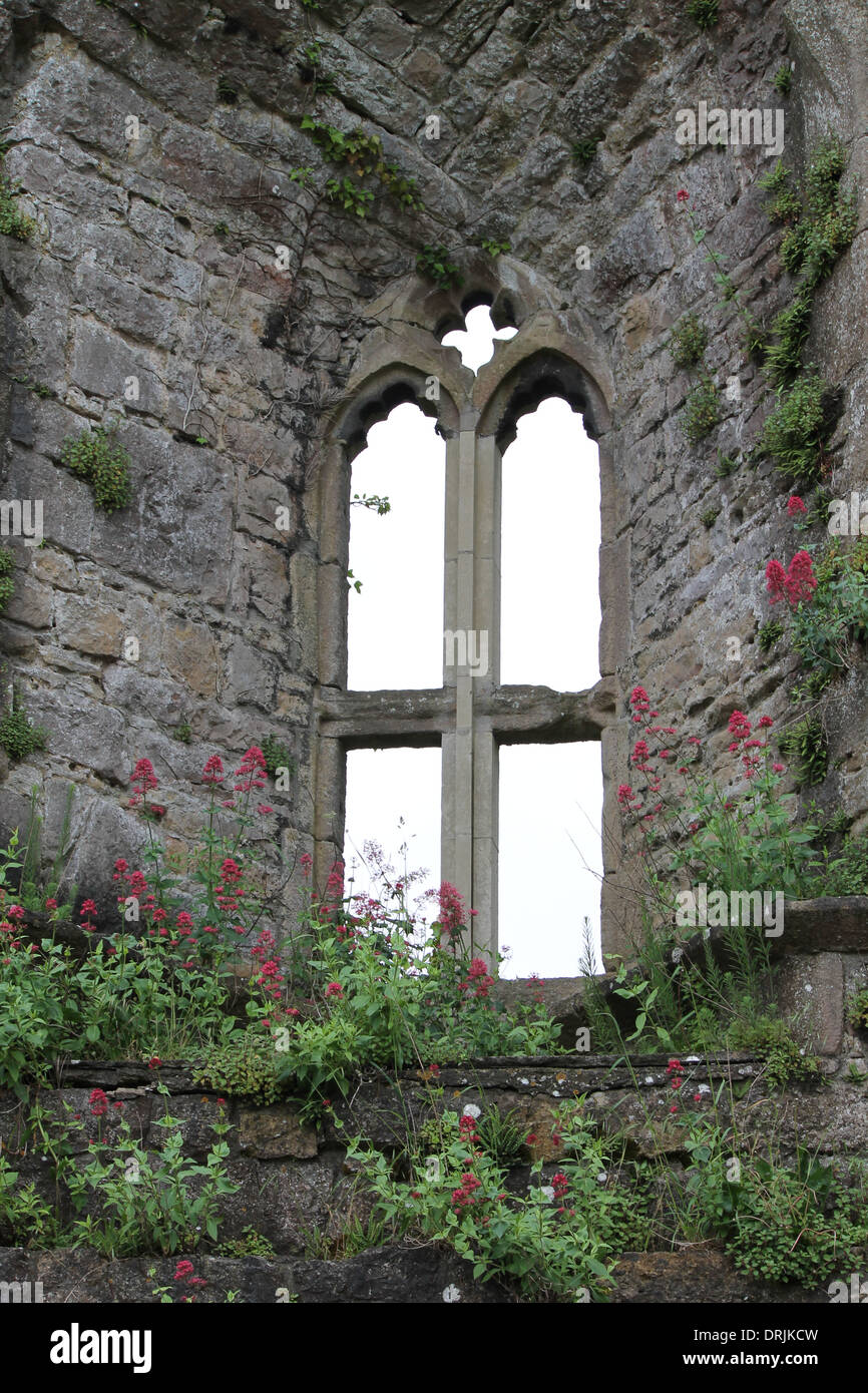 Mur de château, fleurs, fleurs, mur en pierre, fenêtre en arc Banque D'Images