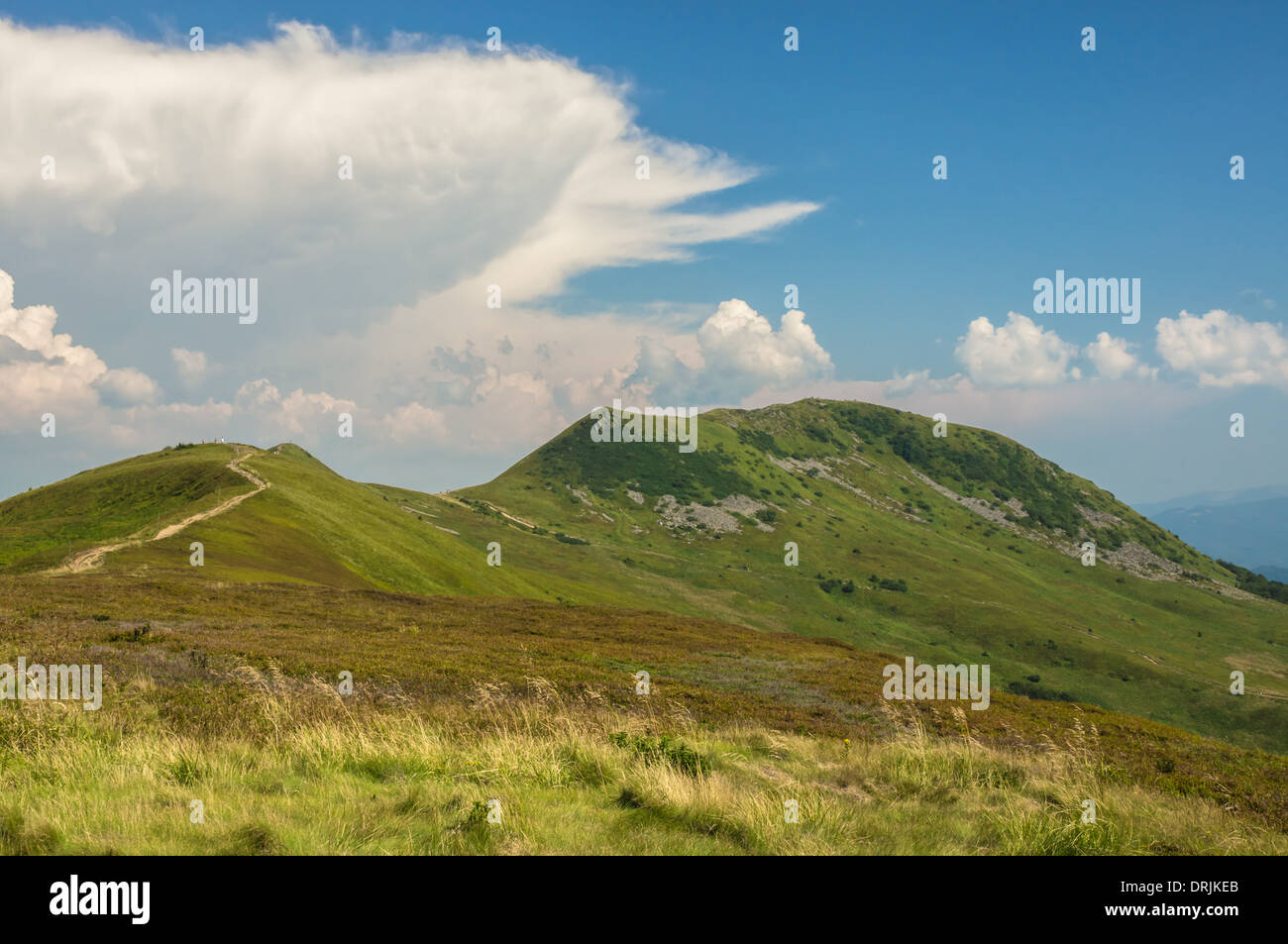 Pic de Tarnica Bieszczady Pologne Banque D'Images
