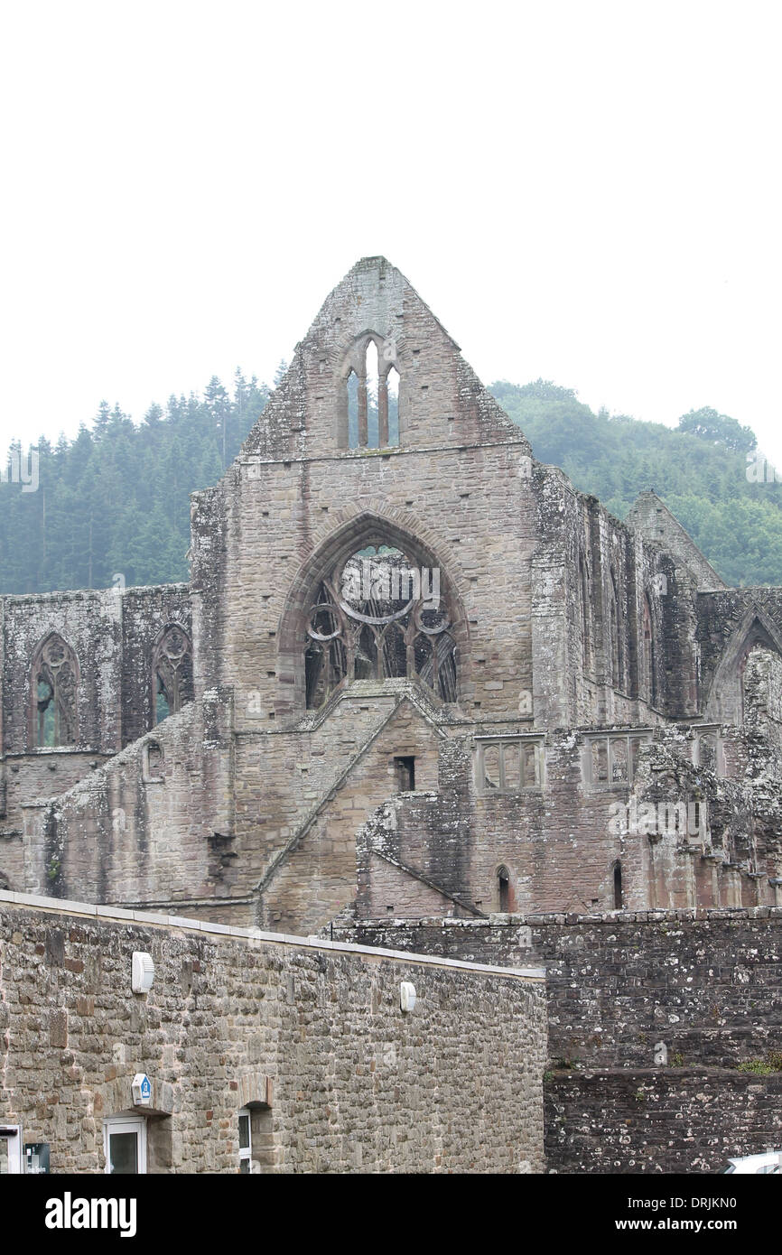 Abbaye de Tintern, au Pays de Galles Banque D'Images
