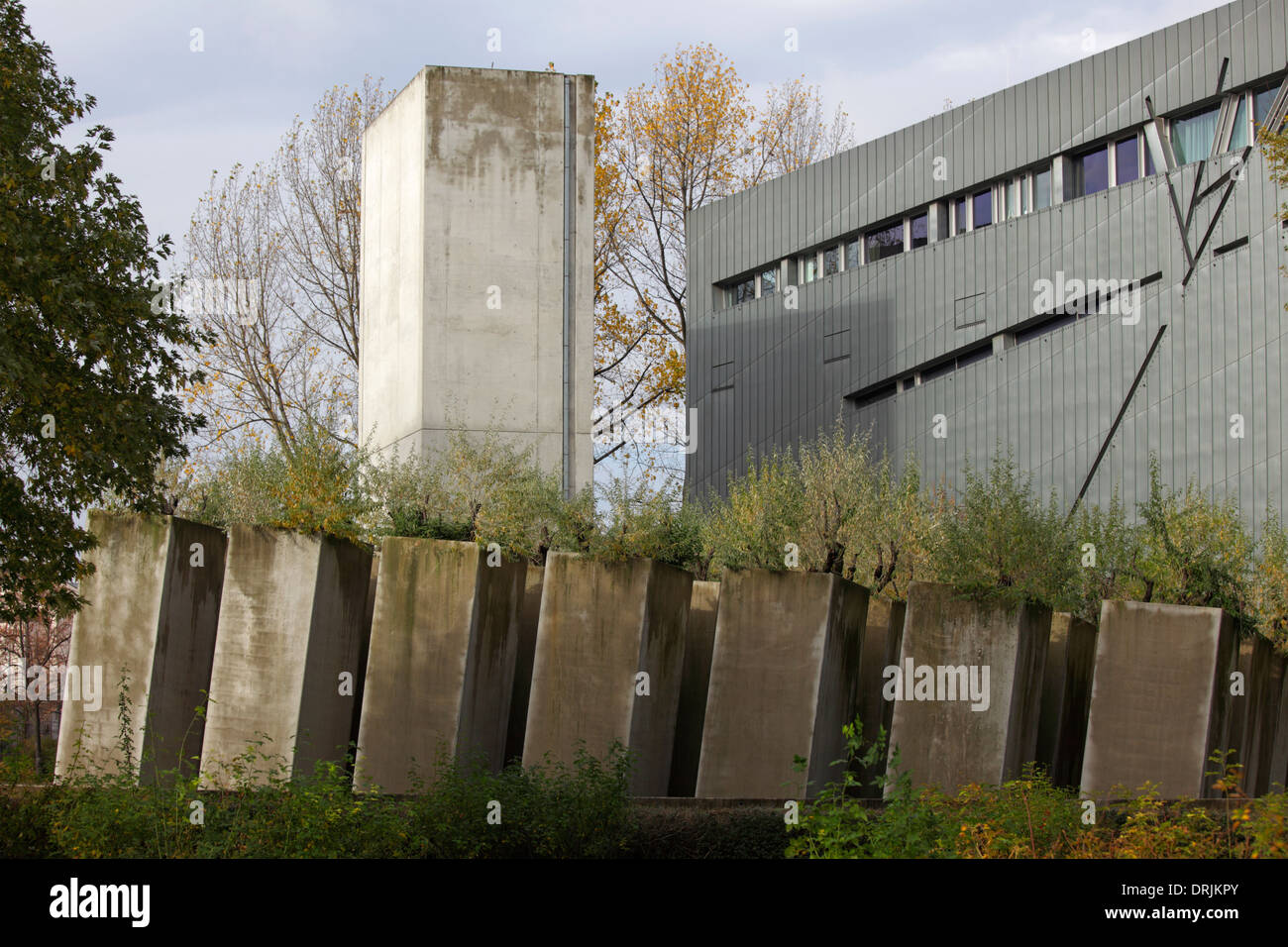 Oleaster dans le jardin de l'exil avec la construction du Musée juif à l'arrière-plan, Berlin, Allemagne Banque D'Images