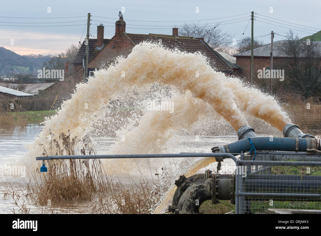 Le pompage de l'eau de la plaine inondée à Burrowbridge Somerset dans la rivière Parrett complet comprenant les fortes pluies en cours. Banque D'Images