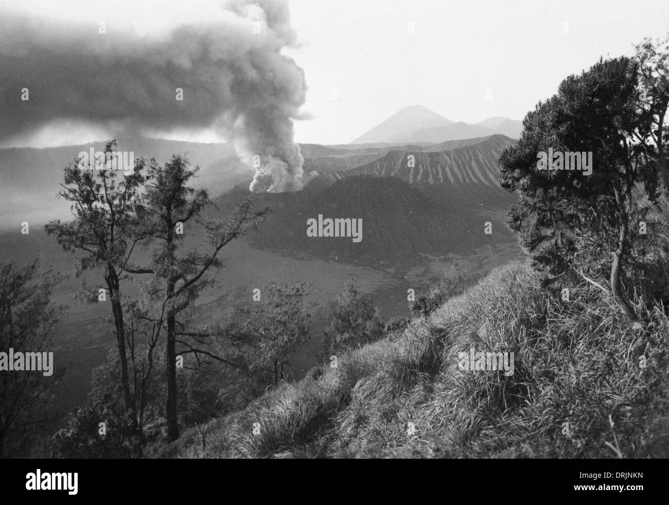 Éruption du volcan Bromo dans l'Est de Java, Indonésie. Banque D'Images