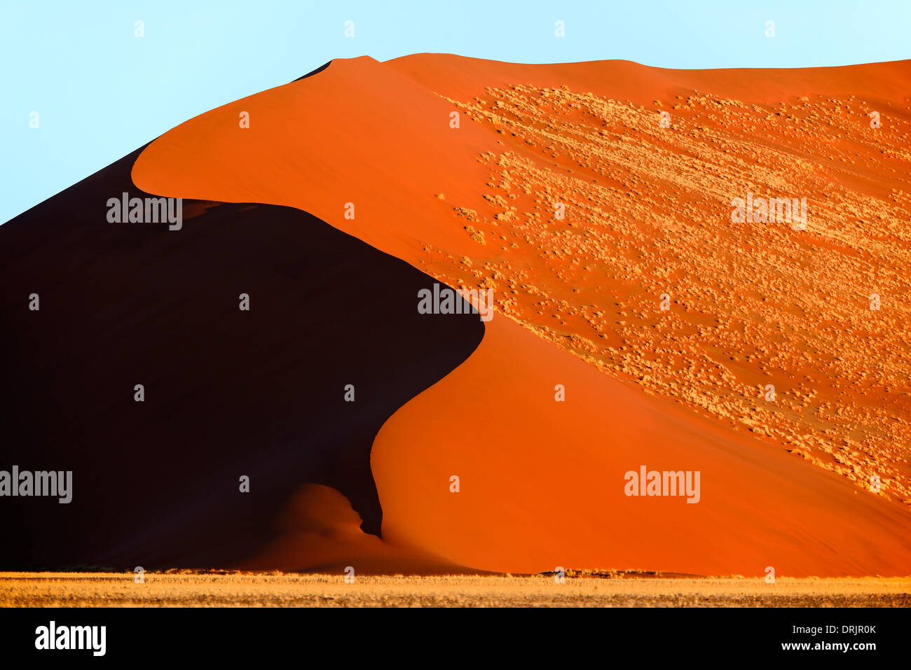 De gigantesques dunes de sable dans la dernière lumière du soir, le Parc National Namib Naukluft, Sossusvlei, Namibie, Afrique, riesige im Sandduenen Banque D'Images