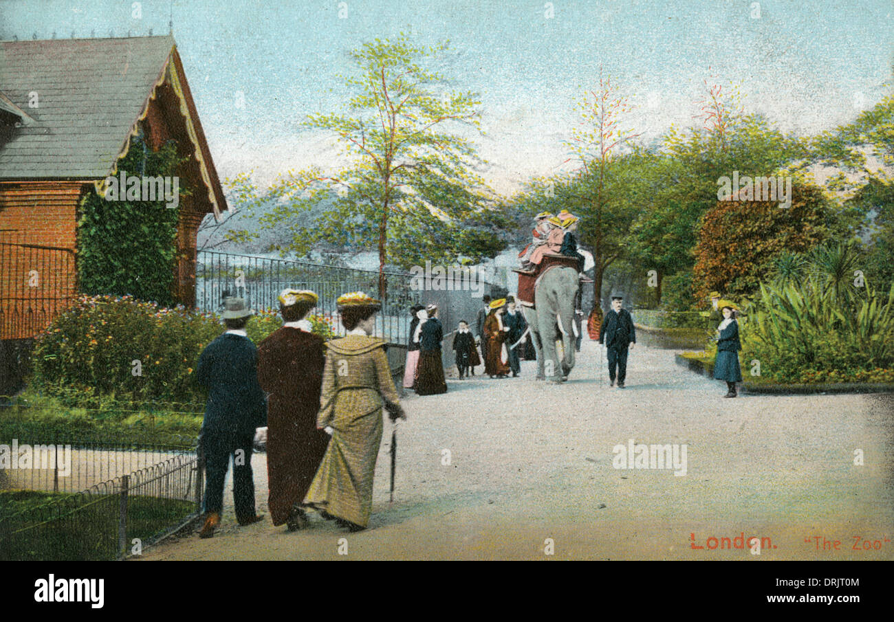 Un éléphant prendre les gens pour une balade au Zoo de Londres. Banque D'Images