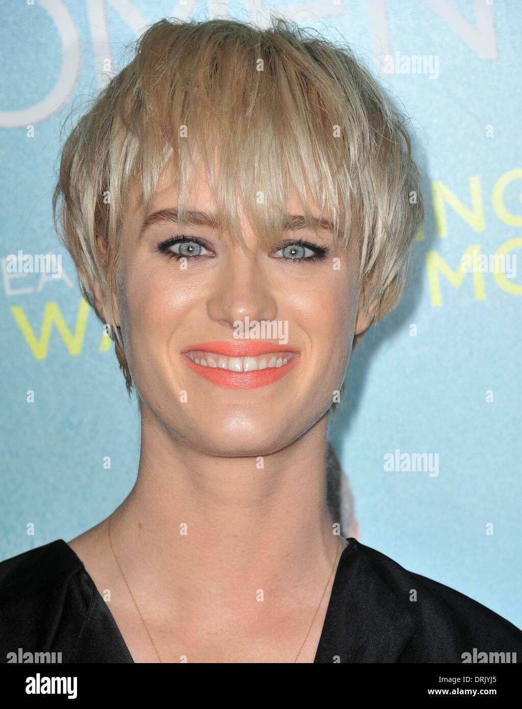 Los Angeles, CA, USA. 27 Jan, 2014. Davis Mackenzie aux arrivées pour cet encombrant MOMENT Premiere, Regal Cinemas LA LIVE Stadium 14, Los Angeles, CA, le 27 janvier 2014. Credit : Dee Cercone/Everett Collection/Alamy Live News Banque D'Images