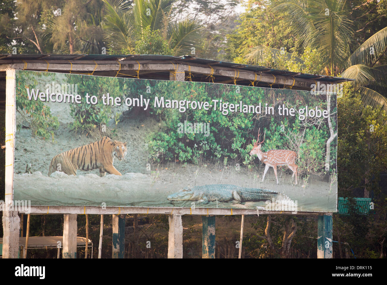 Une réserve de tigres dans les Sunderbans, Ganges, Delta, l'Inde, la région est très faible élévation et vulnérables à la montée du niveau de la mer. Banque D'Images