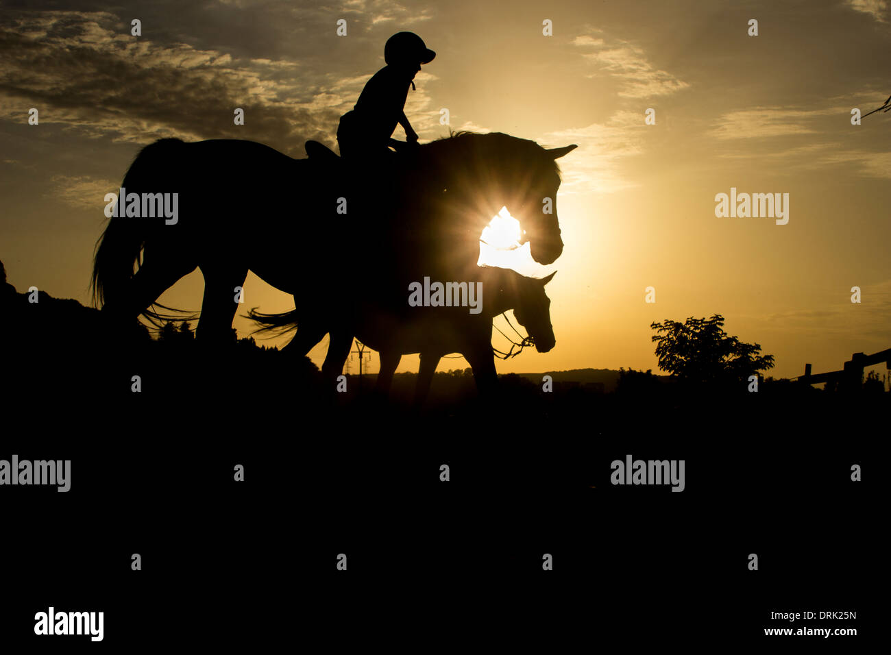 L'équitation silhouette Banque D'Images