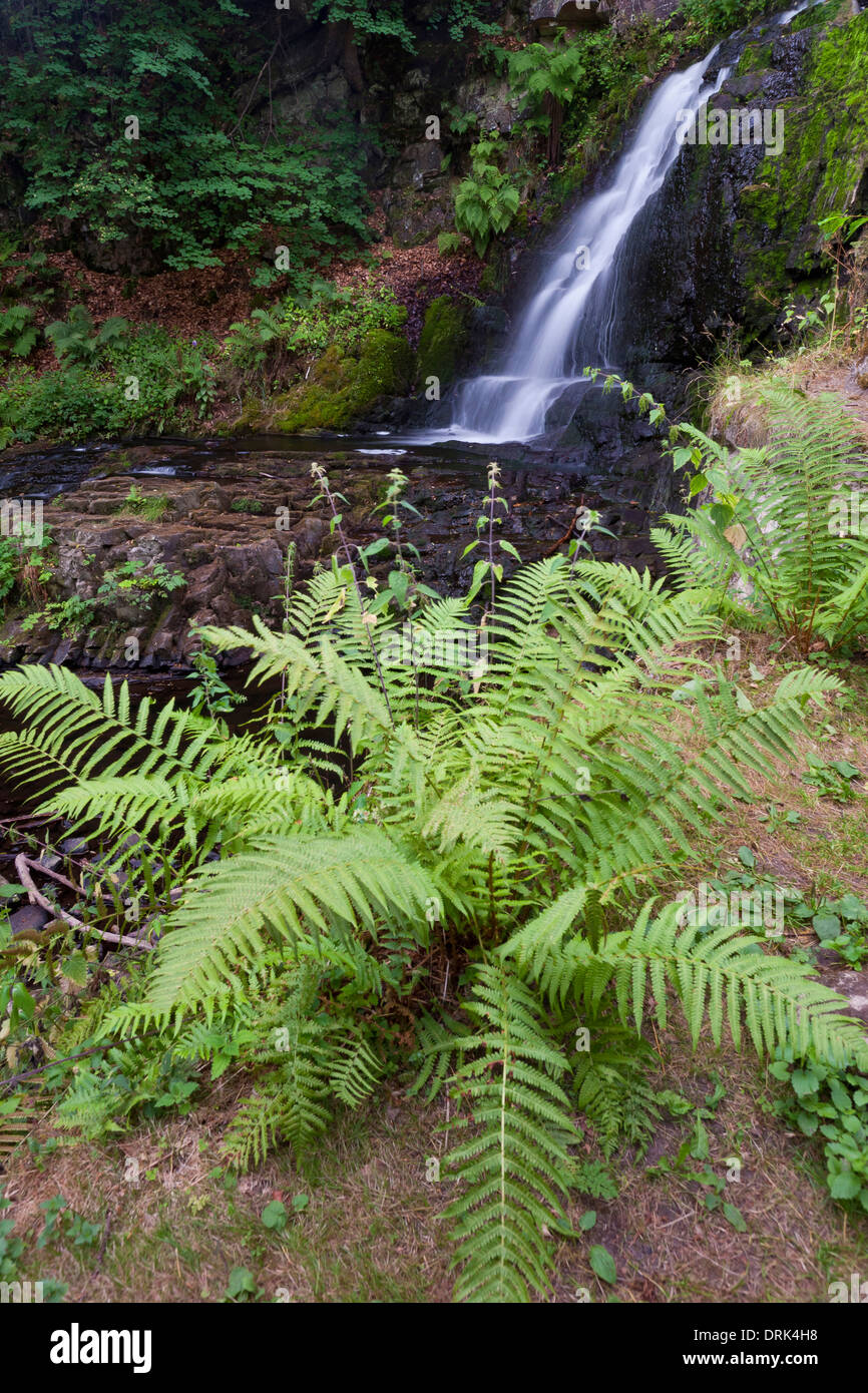 Forsemoella appelé Cascade, Scania, Suède Banque D'Images