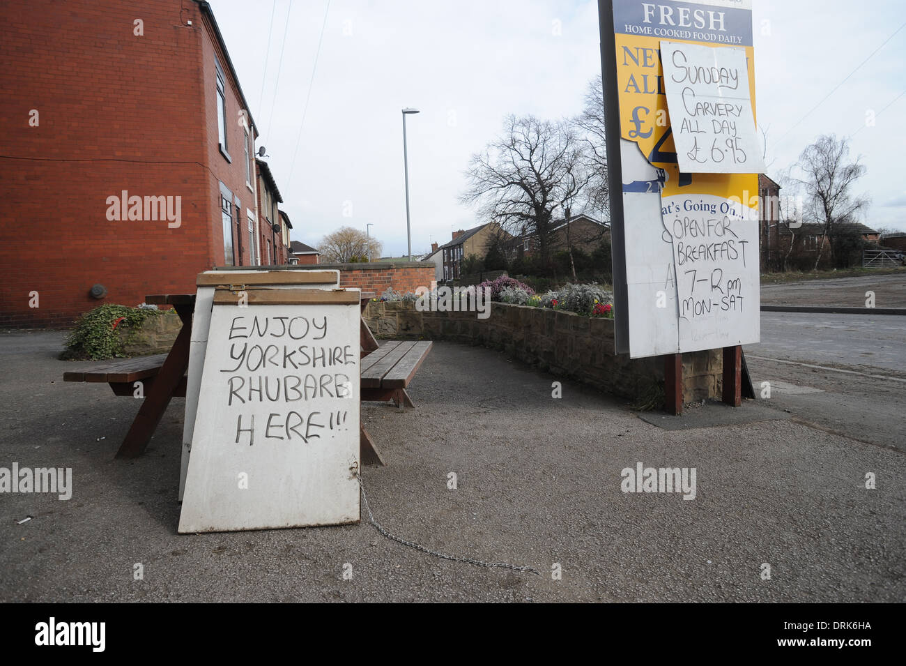 Oldroyds ferme la rhubarbe dans Carlton près de Wakefield, dans le West Yorkshire, England uk Banque D'Images