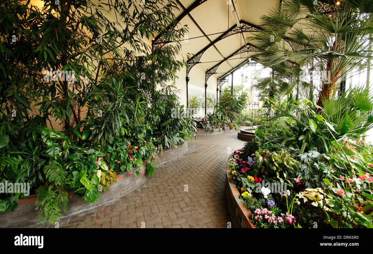 Pavilion Gardens Conservatory/jardin botanique, Buxton, Derbyshire, Royaume-Uni Banque D'Images