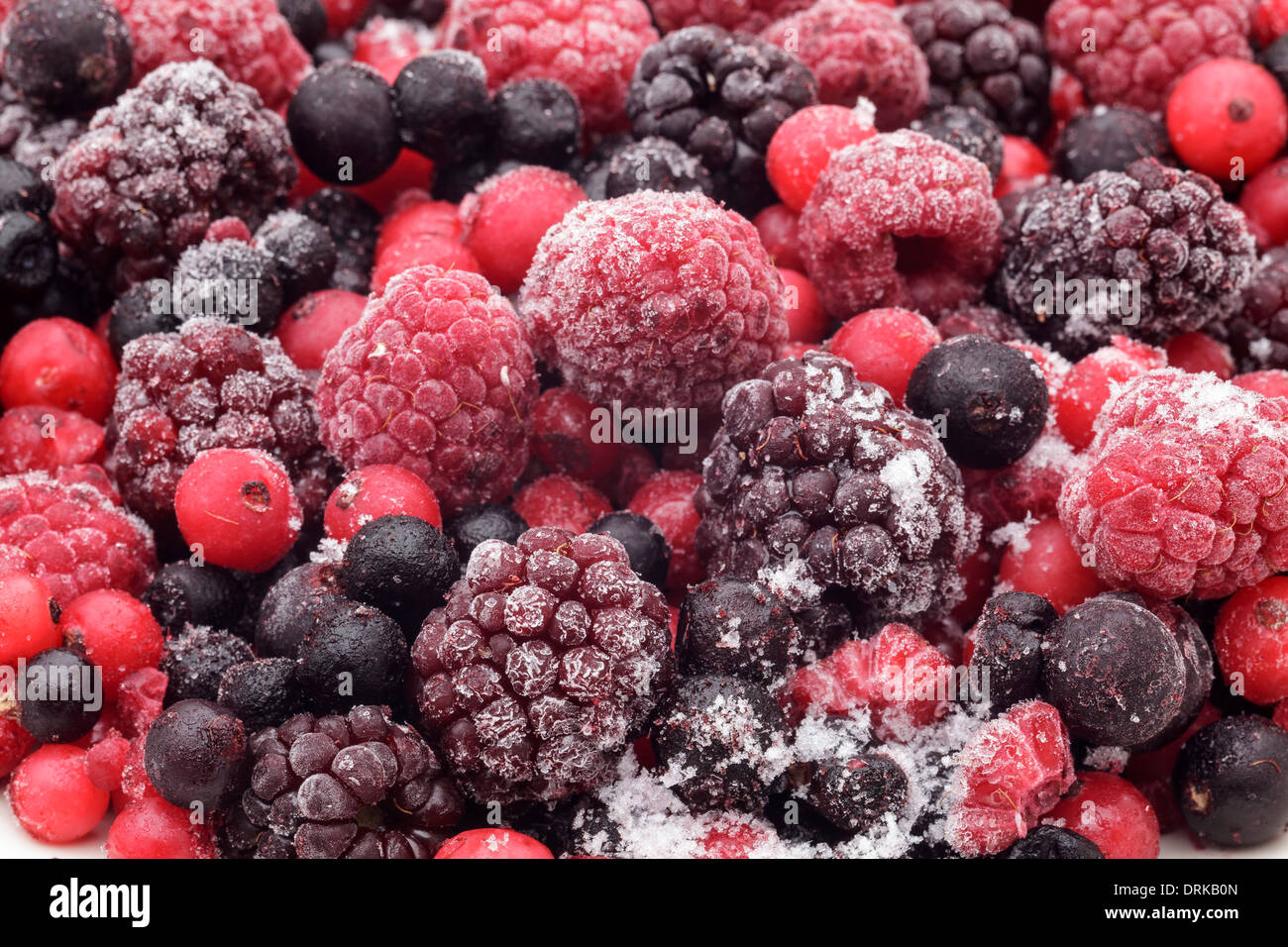 Petits fruits congelés Banque D'Images