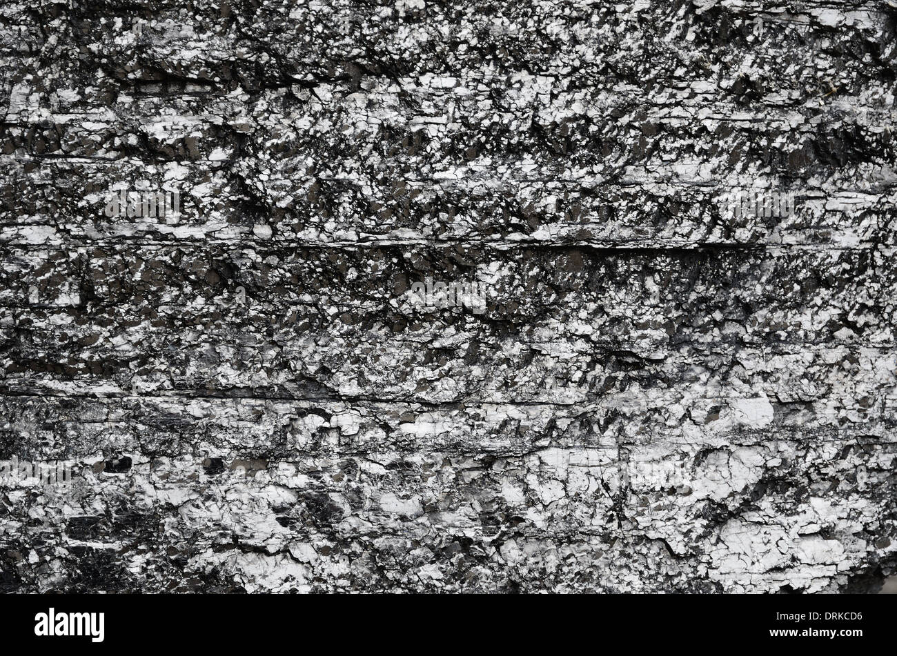 Close-up of black surface de charbon fossile Banque D'Images