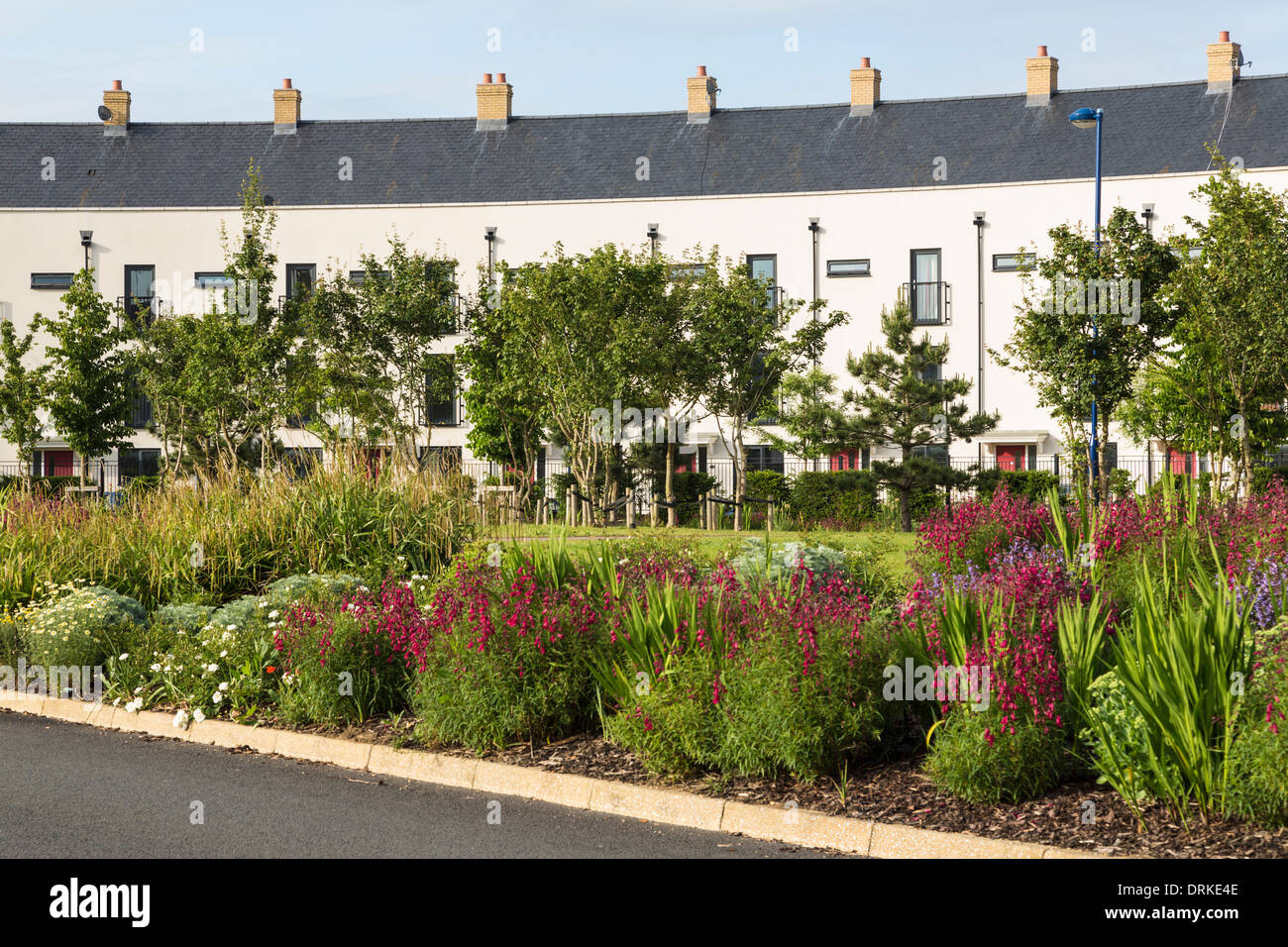 Parc verger logements privés, Cambridge, Angleterre Banque D'Images
