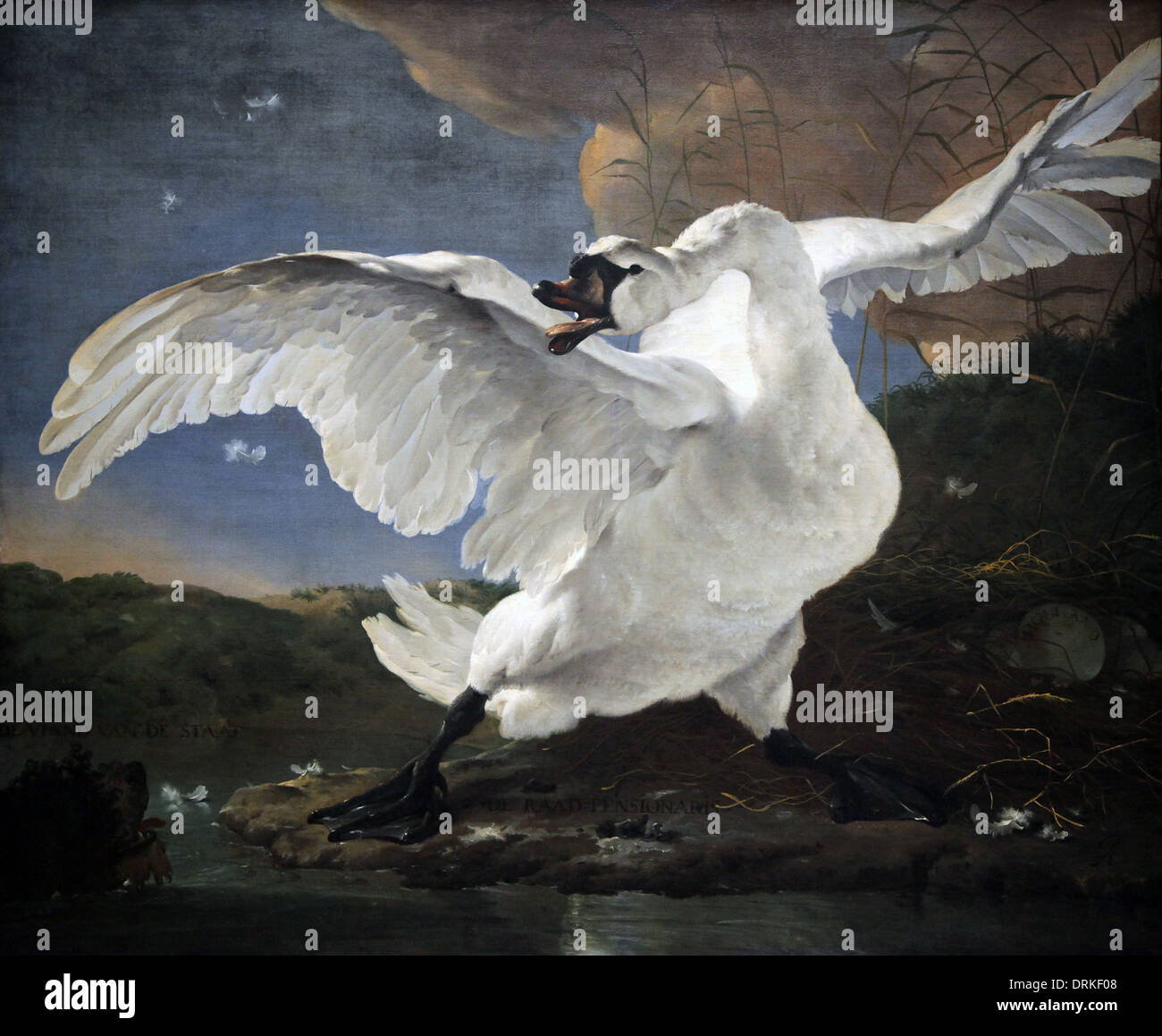 Le Cygne menacé (1650) Jan Asselijn (1610 – 1652) peintre néerlandais de l'âge d'or. Cygne muet grandeur nature défendant son nid contre un chien qui approche. Banque D'Images