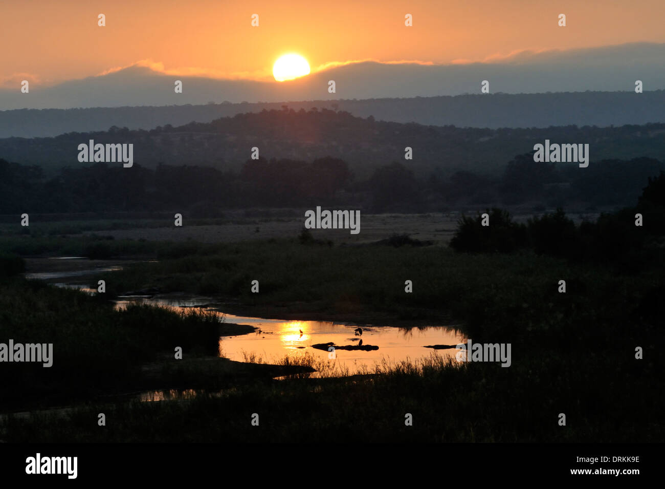 River au lever du soleil dans le Parc National Kruger, Afrique du Sud Banque D'Images