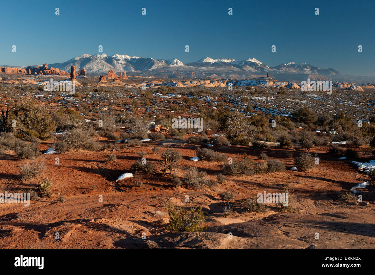 Rang des Montagnes La Sal vu de Arches National Park Banque D'Images