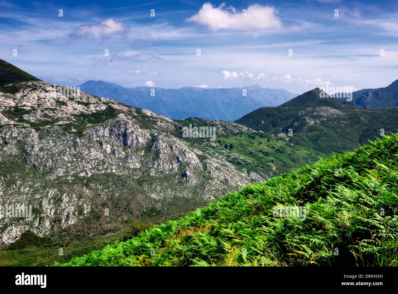 Vue d'été des pics de l'Europe dans les Lacs de Covadonga, Cangas de Onis, Asturias, Espagne Banque D'Images