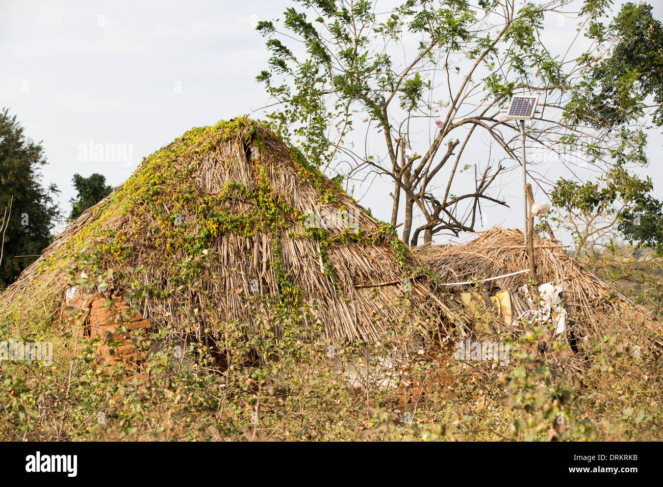 Un intouchable familles hut, éclairé par une lumière électrique, alimenté par un panneau solaire de format A4, que les frais d'une batterie, Banque D'Images