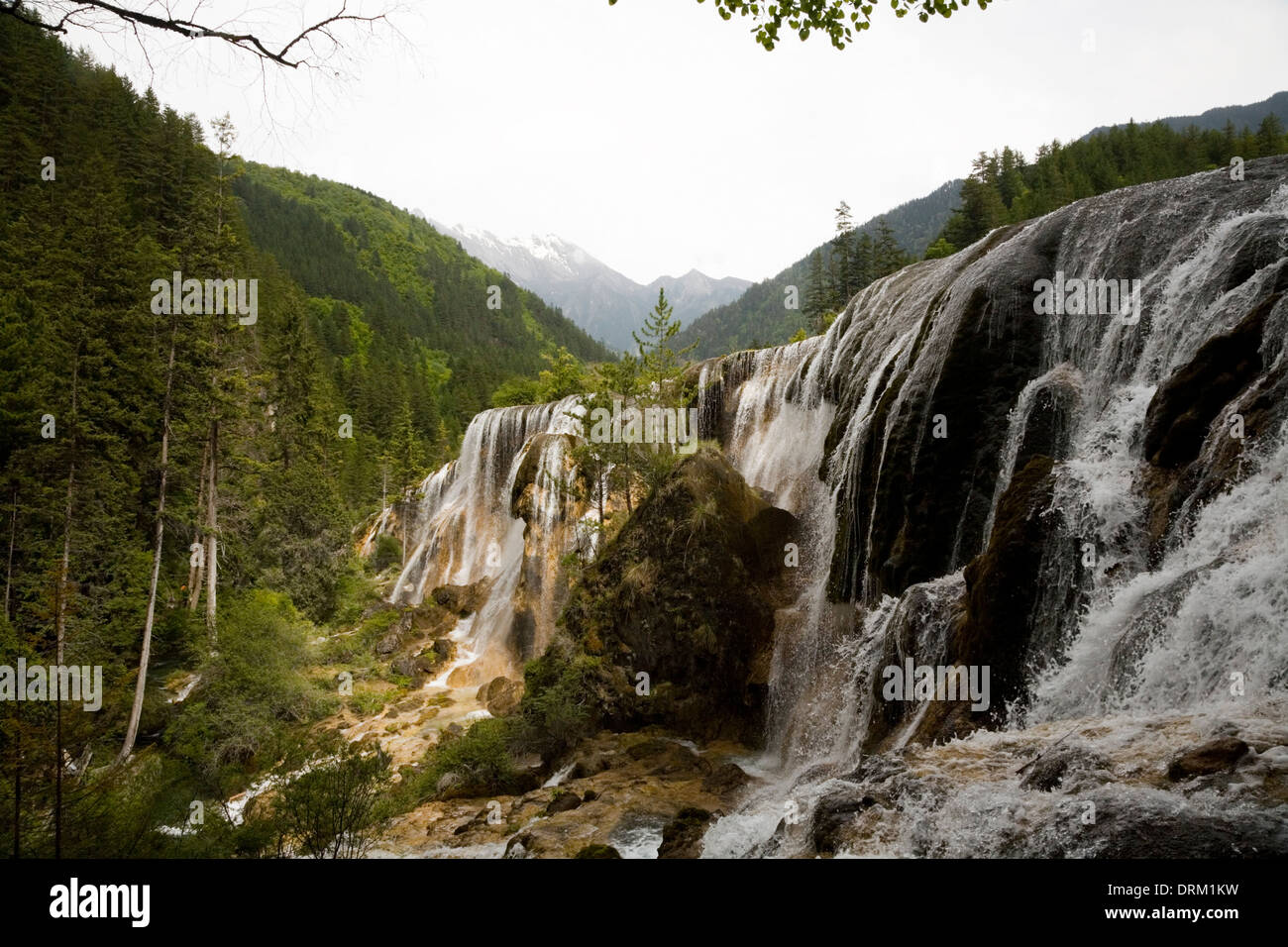 Belle chute d'eau / chutes d'eau / chute d'eau dans le parc naturel chinois de la vallée de Jiuzhaigou, qui est dans le Sichuan, Chine / RPC.(67) Banque D'Images