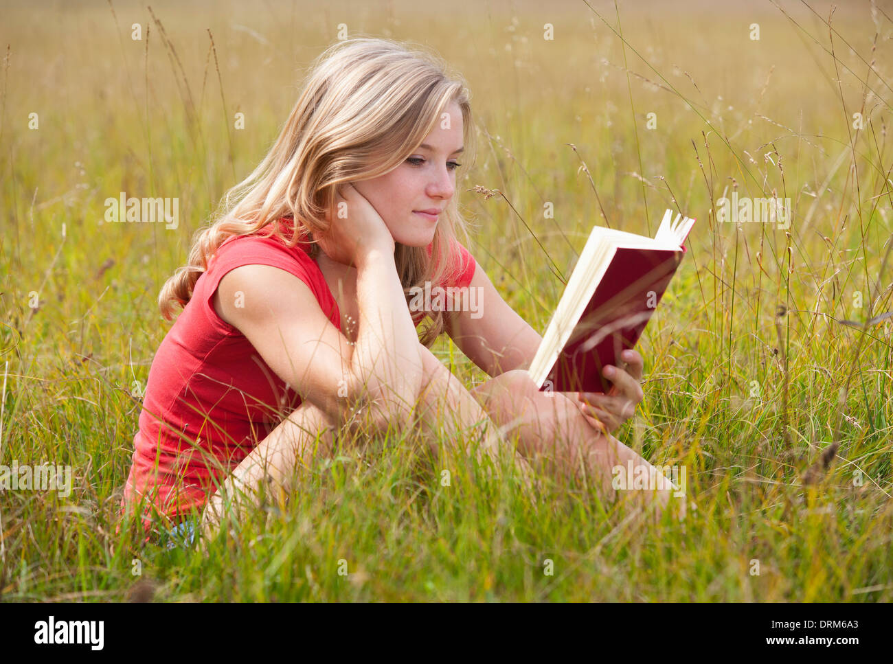 L'Autriche, Salzkammergut, Mondsee, young woman reading book in a meadow Banque D'Images