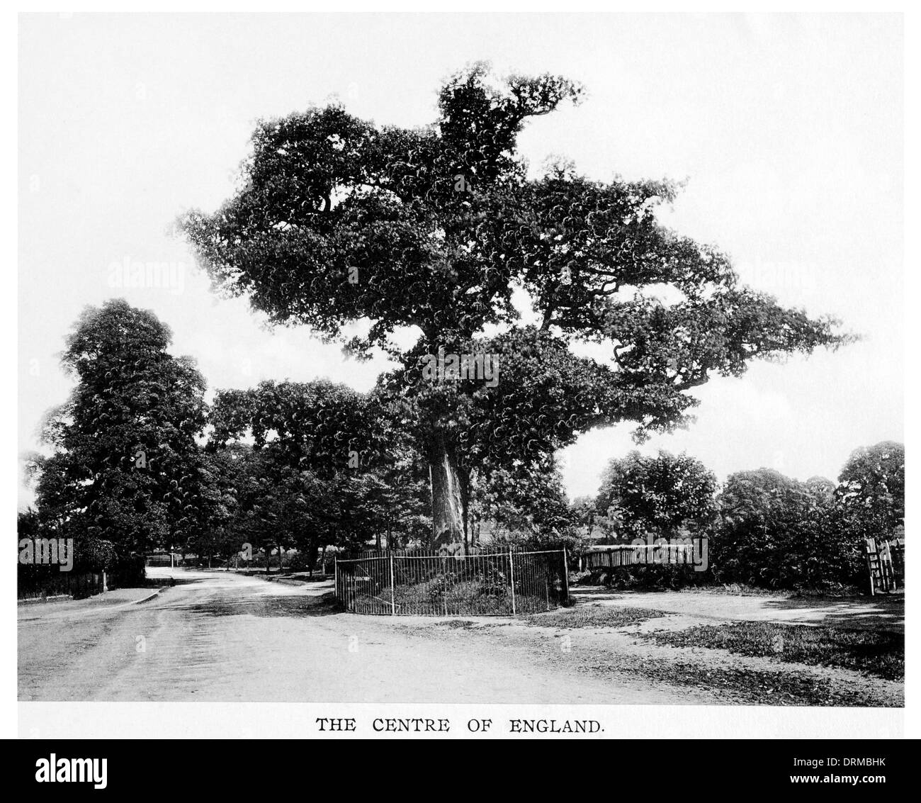 Le centre de l'Angleterre, boundary Oak Midland Lillington Leamington Spa Warwickshire, photographié vers 1910 Banque D'Images