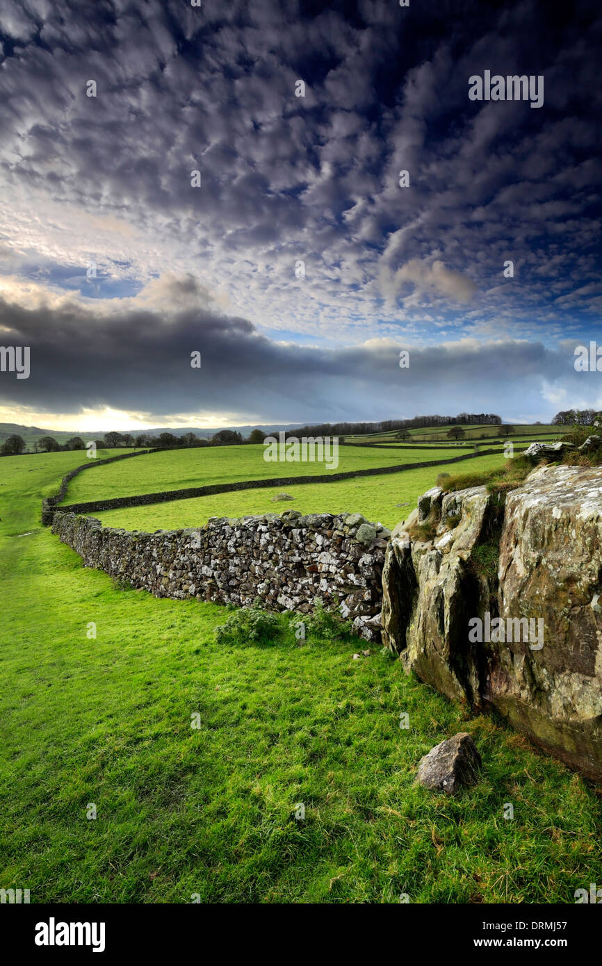 Norber Dale près du village de Austwick, Yorkshire Dales National Park, England, UK Banque D'Images