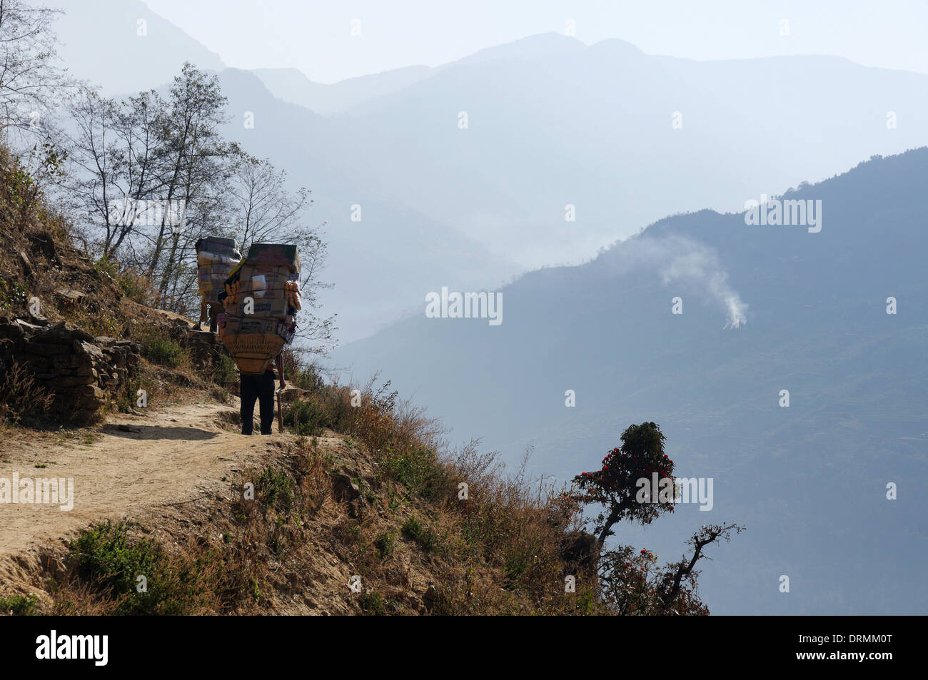 Un sherpa transportant une lourde charge sur un chemin de montagne au Népal Banque D'Images