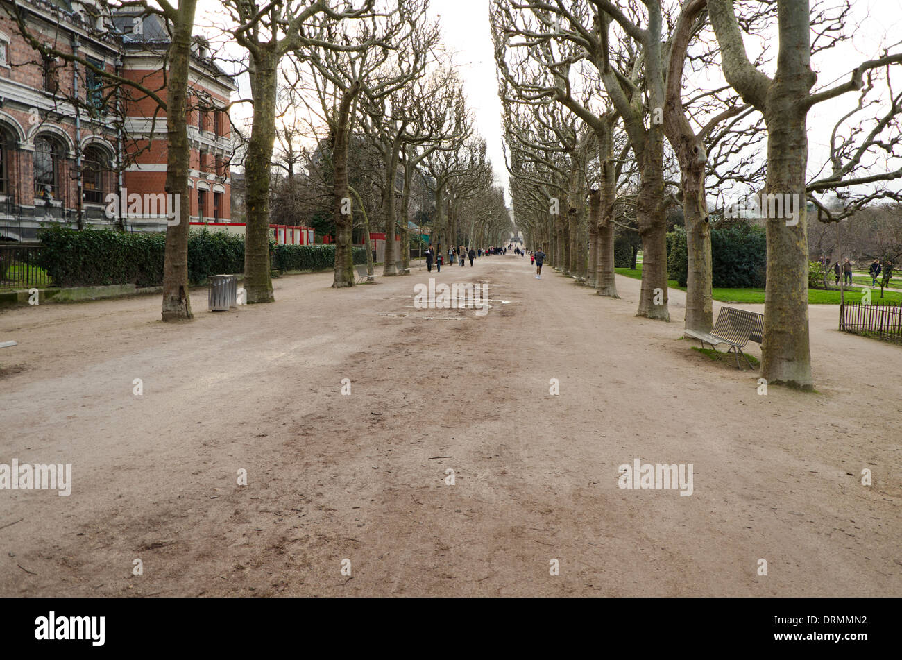 Route bordées du Jardin botanique de l'Austerlitz avec le Musée National d'Histoire Naturelle de Paris, France. Banque D'Images