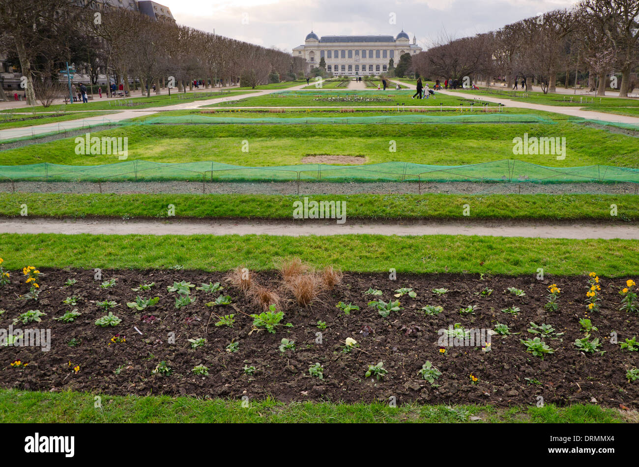 Jardin botanique, Jardin des Plantes, à Austerlitz avec le Musée National d'Histoire Naturelle en arrière-plan à Paris, France. Banque D'Images