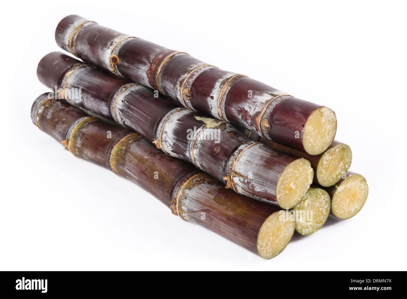 canne à sucre Banque D'Images