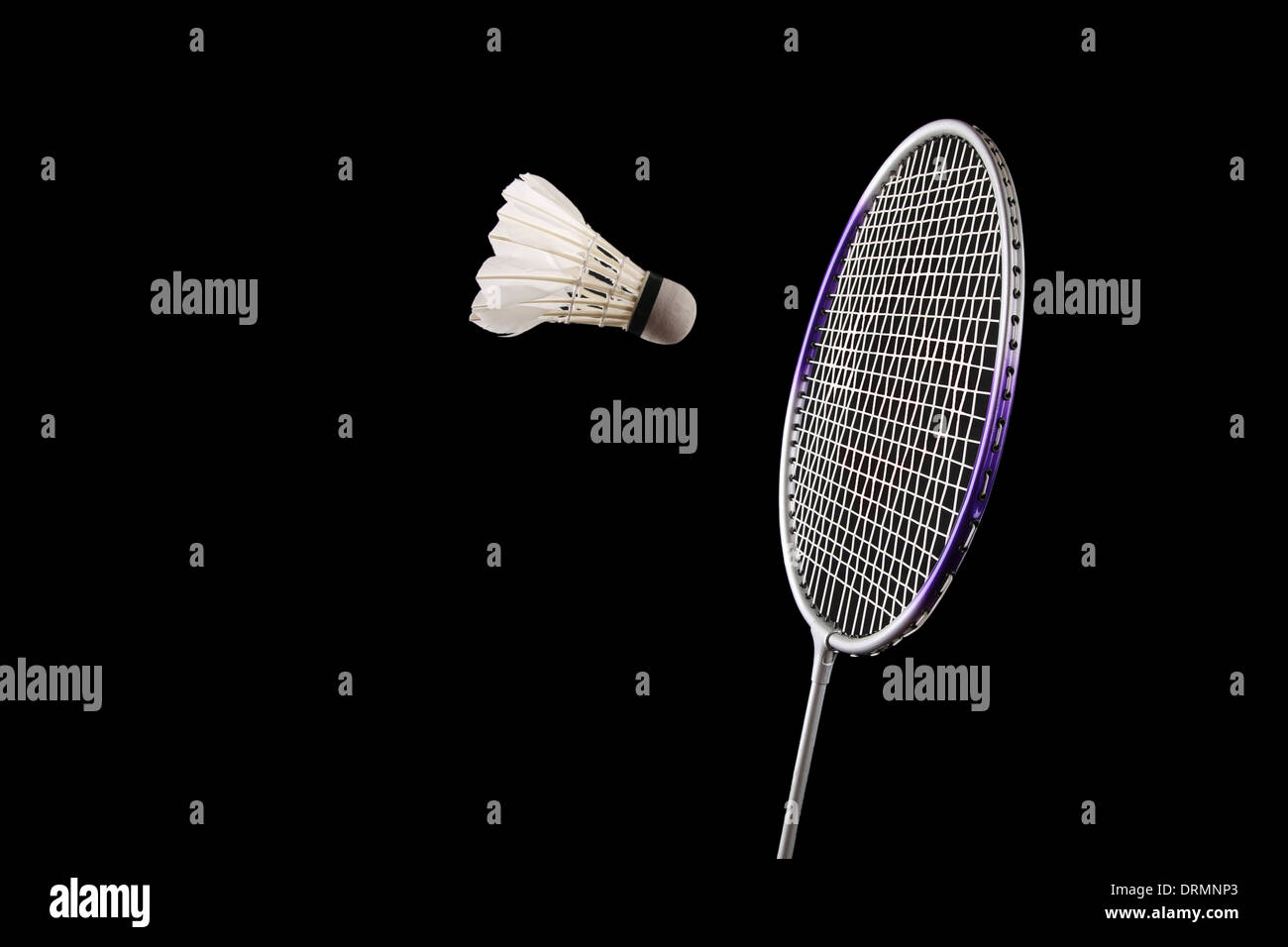 attraper le badminton Banque D'Images