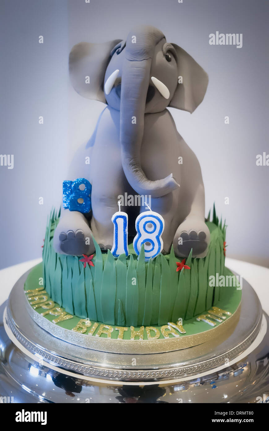 Elephant With Cake Banque D Image Et Photos Alamy Elephant With Cake Banque D Image Et Photos Alamy