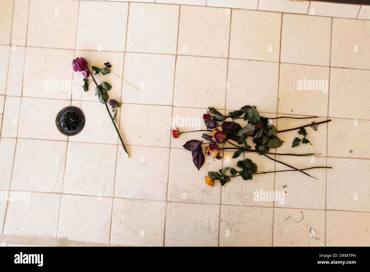 Roses se trouvent dans la salle d'autopsie du crématorium au camp de concentration de Buchenwald près de Weimar, en Allemagne. Banque D'Images