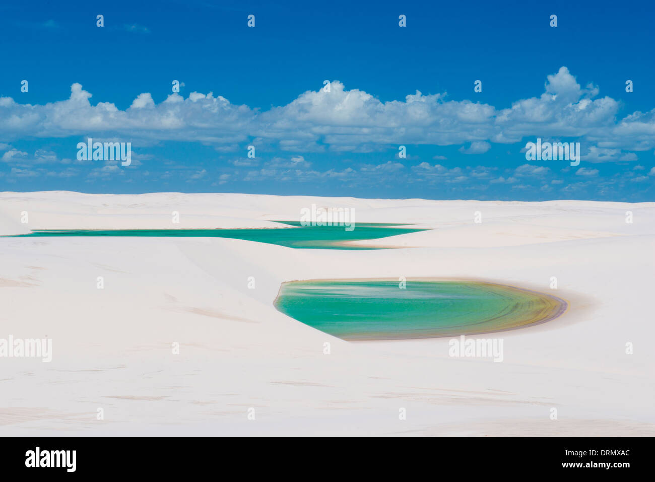 Les étangs d'eau de pluie vert piégés dans dunes blanches, Parc National Lencois Maranhenses, le Brésil, l'Océan Atlantique Banque D'Images