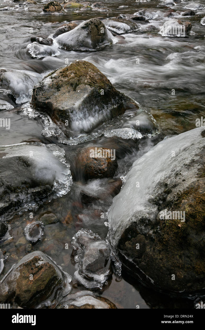 WASHINGTON - La glace rimed rocks dans le South Fork River, près de Snoqualmie Olallie State Park. Banque D'Images