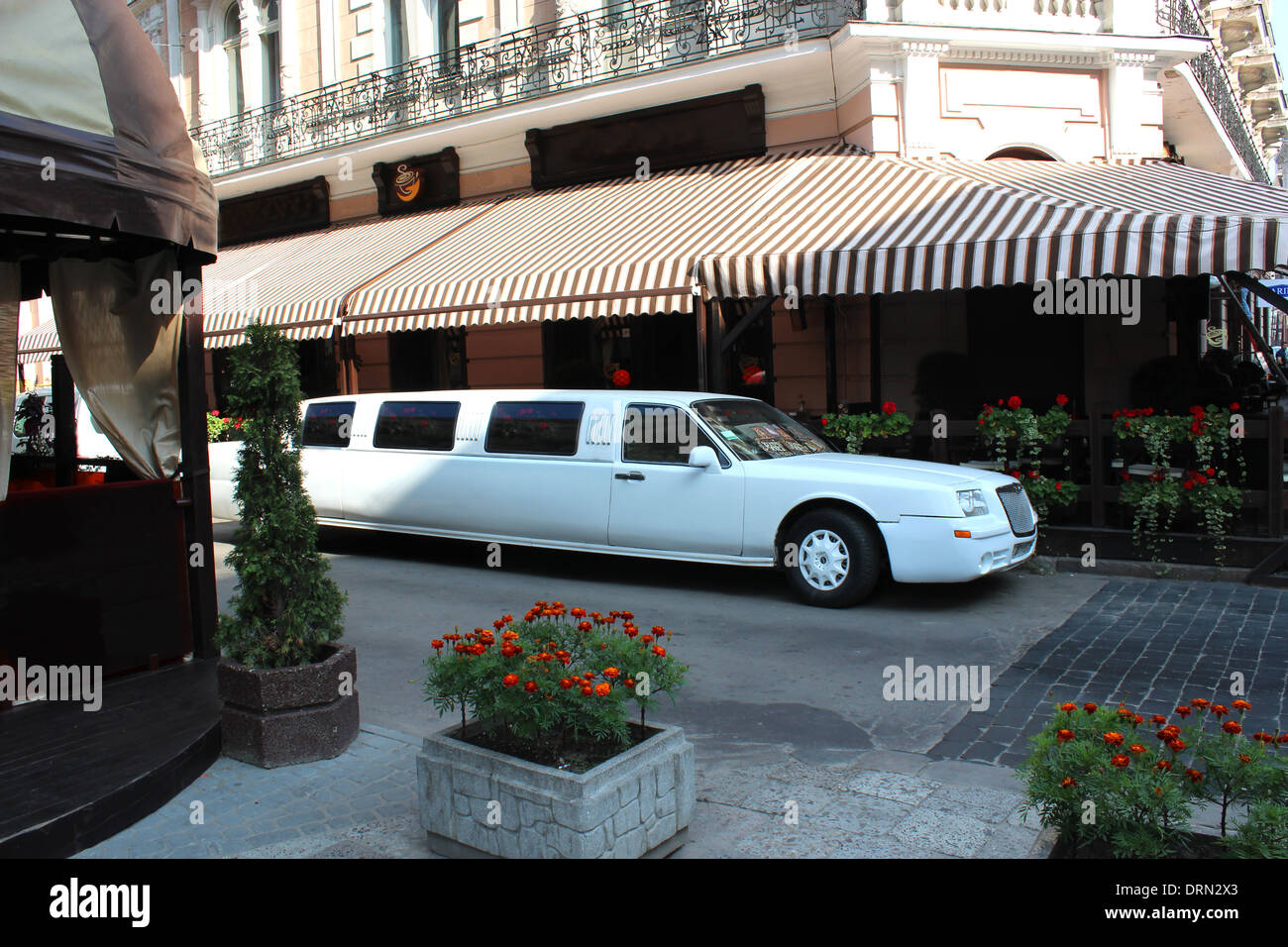 Limousine blanche en plus permanent caffe à Lvov Banque D'Images