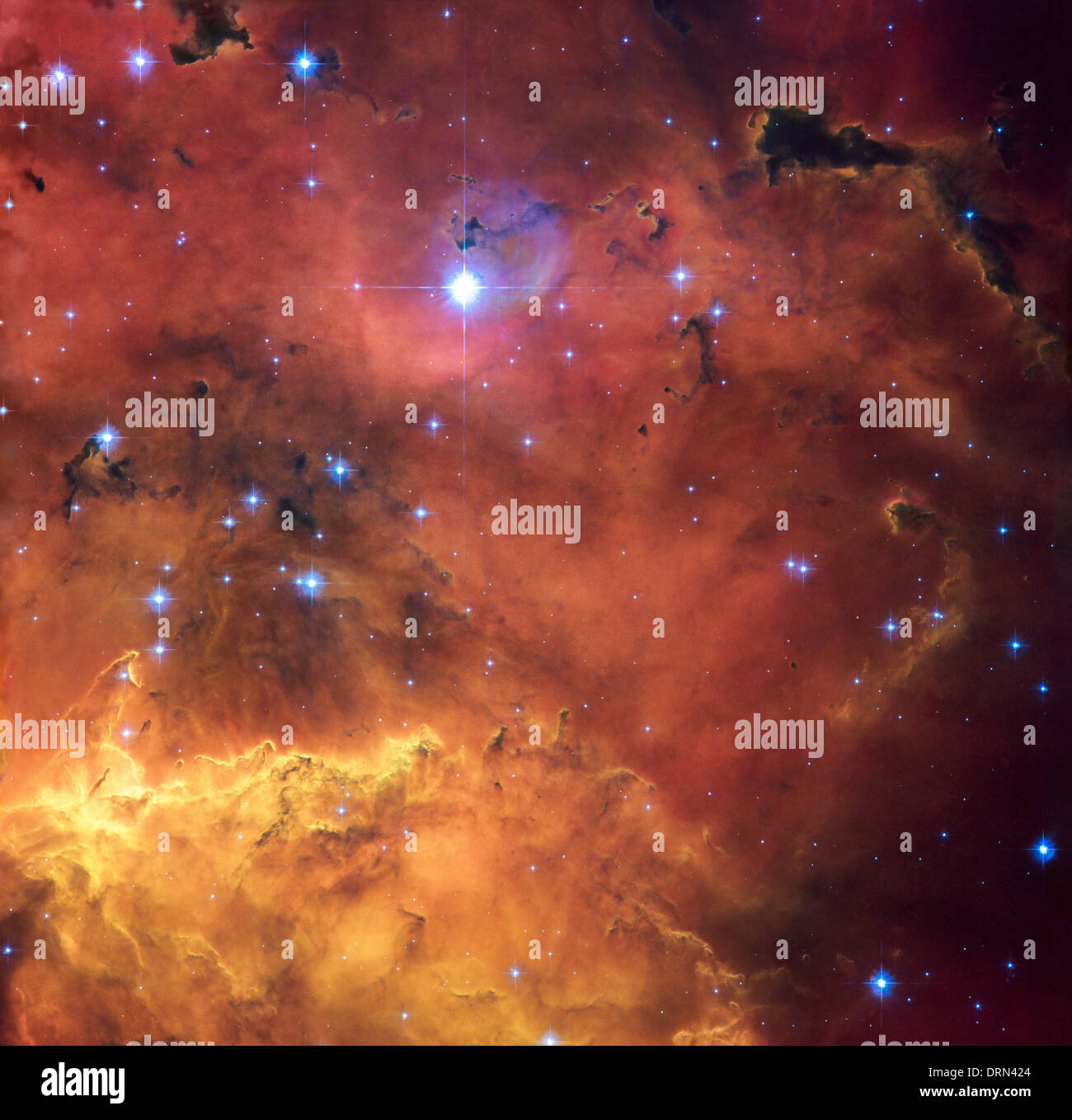Une région d'étoiles en formation est en vedette dans cette superbe nouvelle NASA/ESA Hubble Space Telescope image de NGC 2467. Banque D'Images