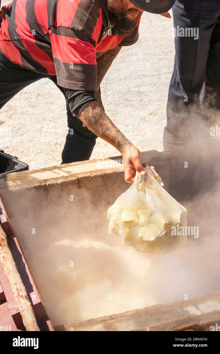 Cuisine traditionnelle Maori Hangi dans un évent de vapeur géothermique. Réserve thermale de Whakarewarewa Village de Rotorua Nouvelle Zélande Banque D'Images