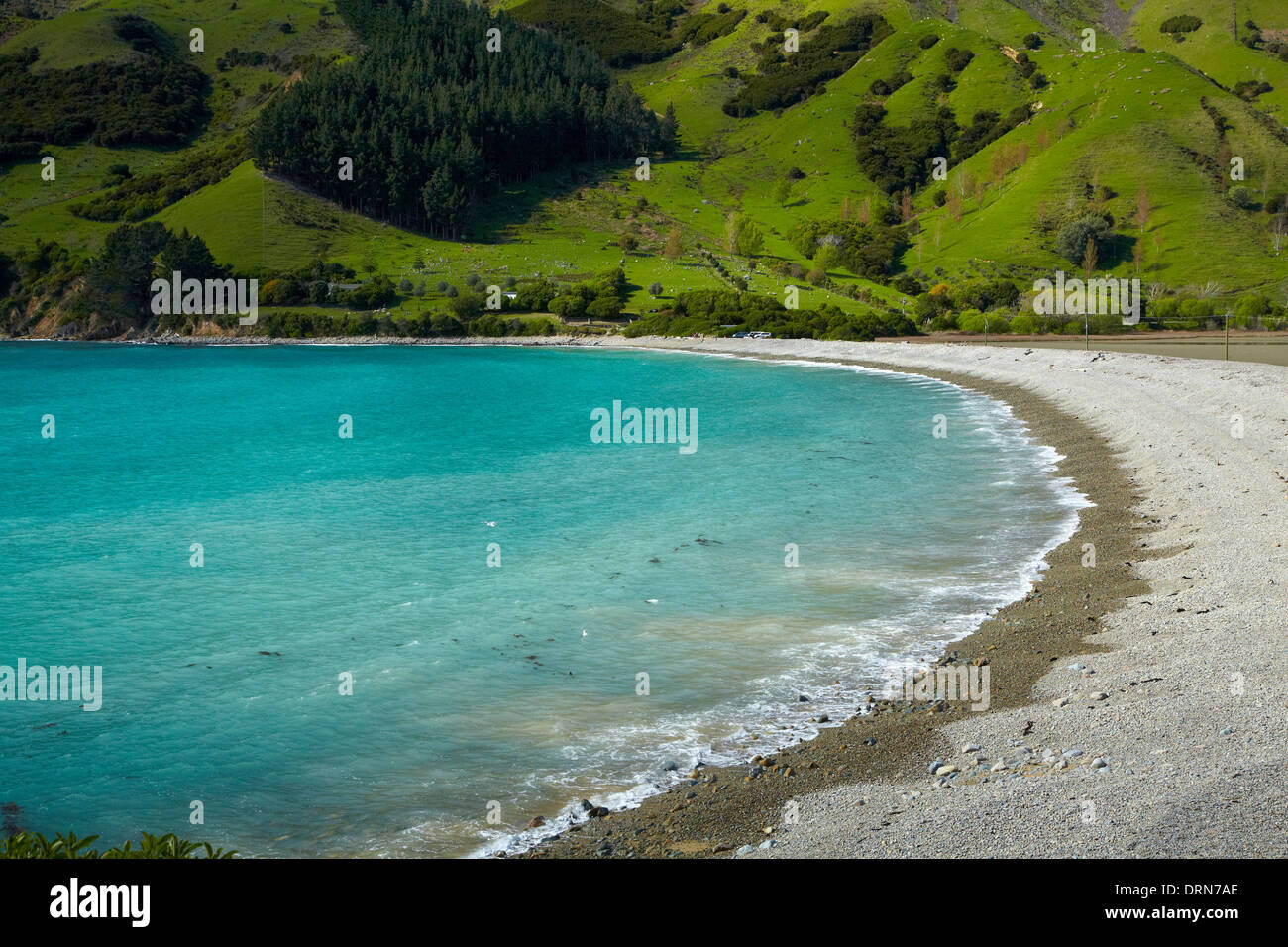 Baie de câble et Pepin Island, près de Nelson, île du Sud, Nouvelle-Zélande Banque D'Images