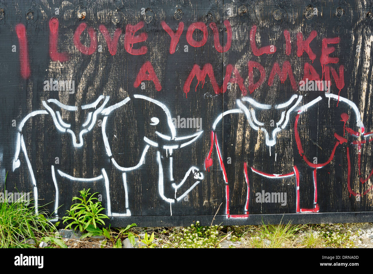 Les graffitis, écriture rouge sur fond noir, 'Je t'aime comme un fou" avec des dessins de l'éléphant, le Pays de Galles, Royaume-Uni Banque D'Images
