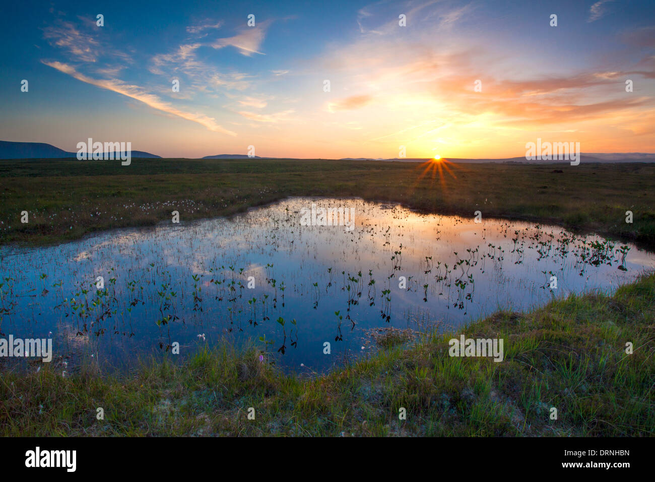 Sous le soleil piscine tourbière Nephin Beg Montagnes, Parc National de Ballycroy, Comté de Mayo, Irlande. Banque D'Images