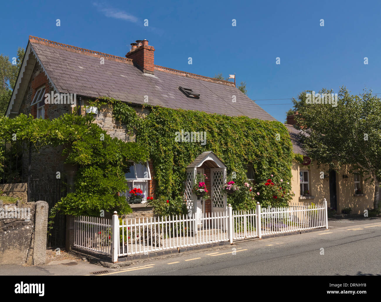 Maison couverte de lierre à Aughrim, comté de Wicklow, République d'Irlande, Europe Banque D'Images