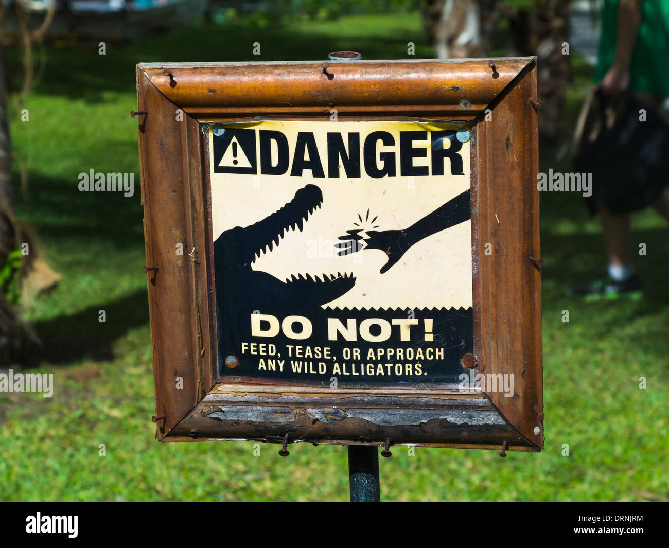 Danger sign in alligator le Parc National des Everglades, Florida, USA Banque D'Images