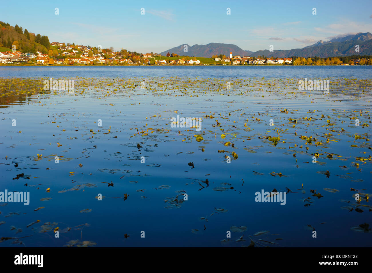Paysage panoramique en Bavière avec les alpes et le lac Hopfensee Banque D'Images