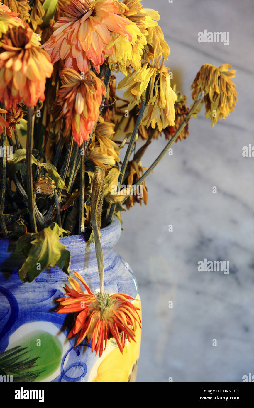Les fleurs mortes dans un vase coloré Banque D'Images
