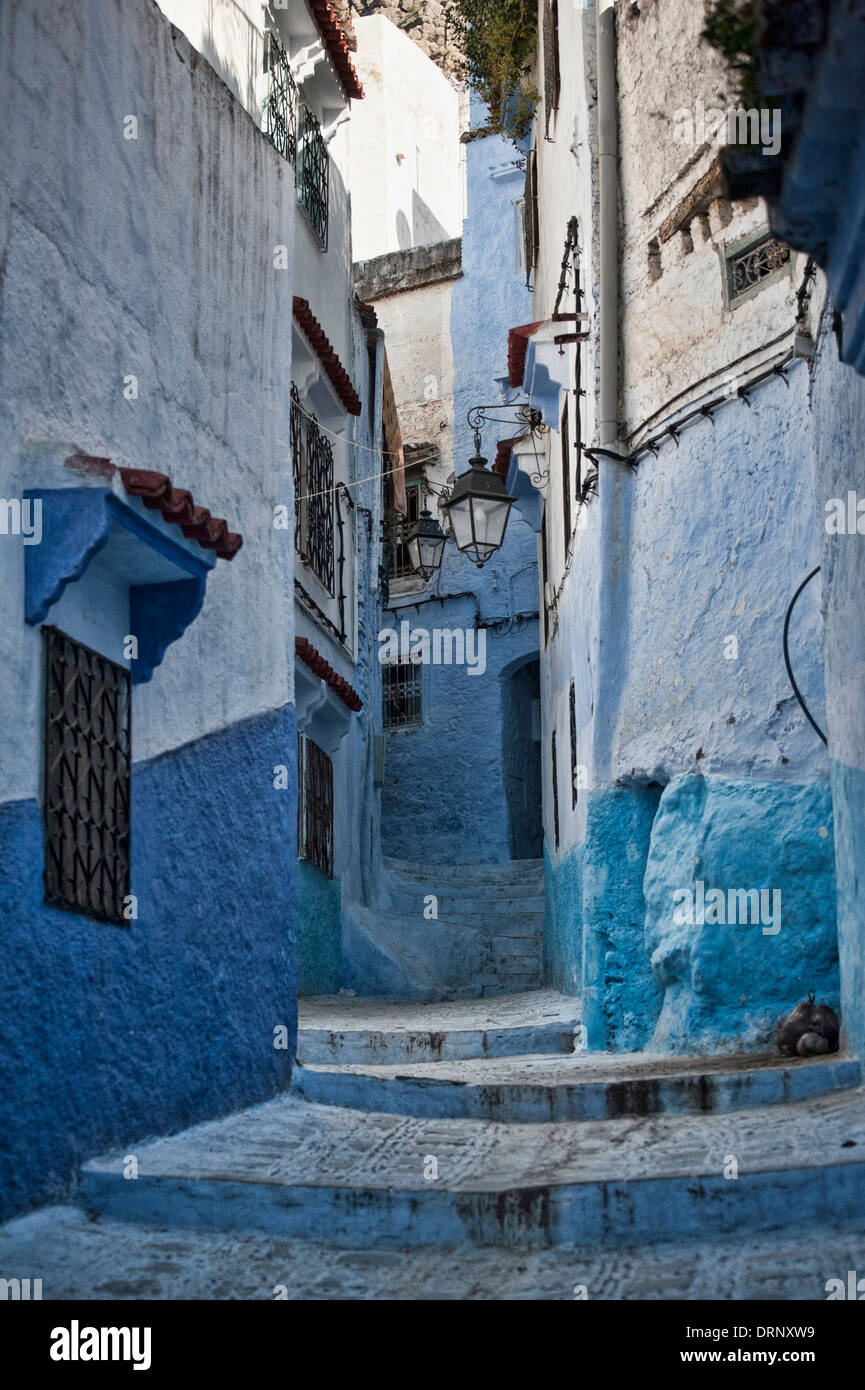 L'une des jolies ruelles à Chefchaouen, la ville bleue du Maroc. Banque D'Images