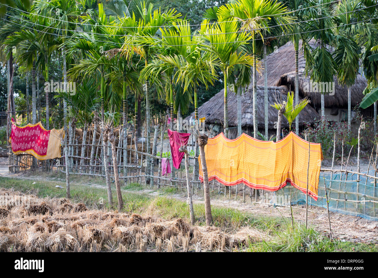 Les agriculteurs de subsistance d'une chambre dans les Sunderbans, une zone de basse altitude du delta du Gange dans l'Est de l'Inde, qui est très vulnérable à la montée du niveau de la mer. Banque D'Images