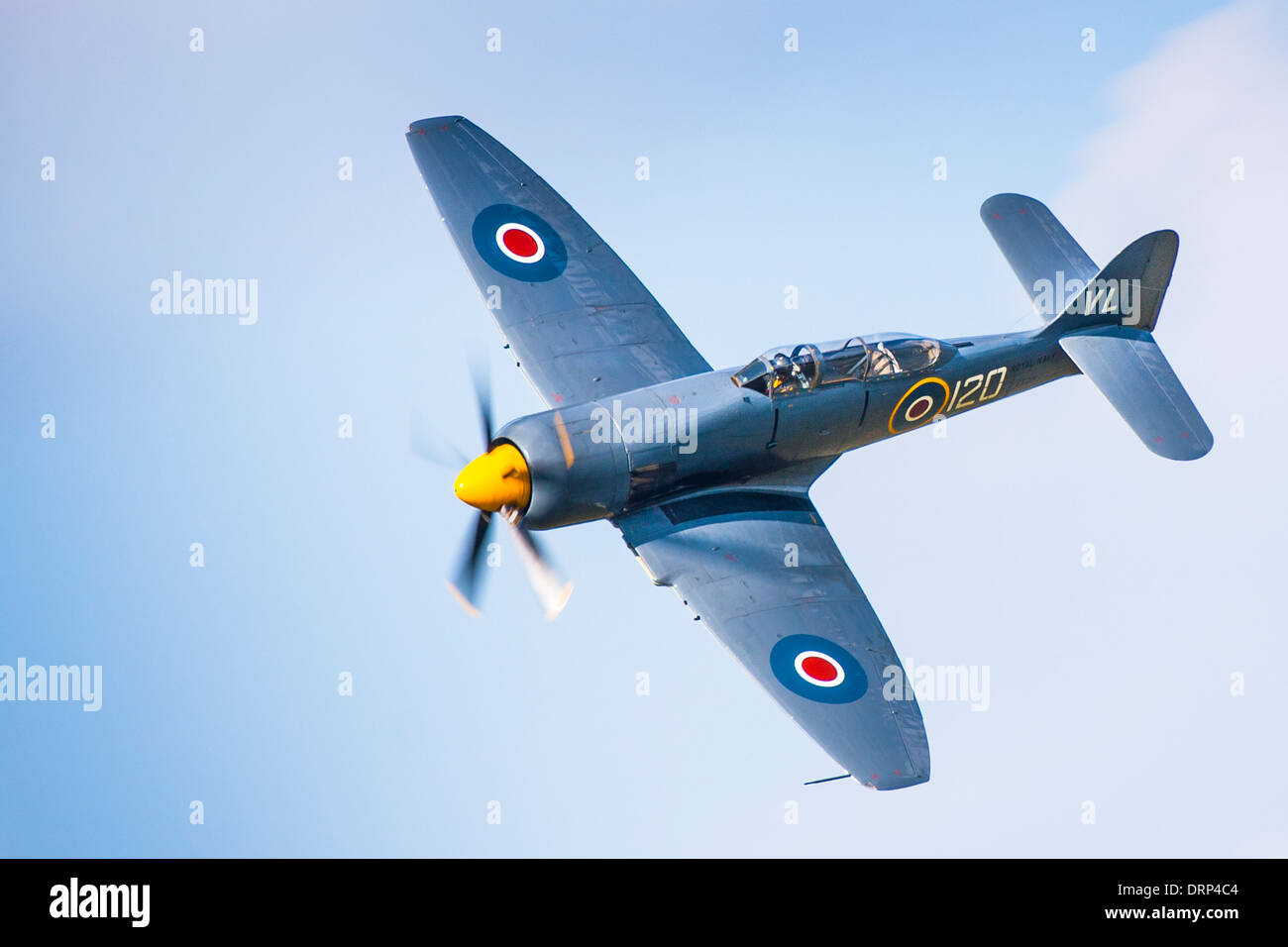 RN vol historique Sea Fury VR930. Wings & Wheels, Dunsfold Sussex UK 2013 Banque D'Images
